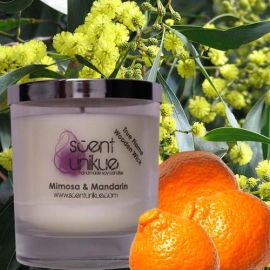 True Flame Soy Candles - Choose your scent!